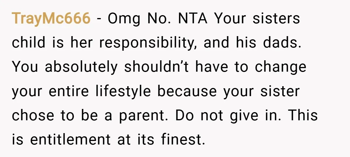 TrayMc666 − Omg No. NTA Your sisters child is her responsibility, and his dads. You absolutely shouldn’t have to change your entire lifestyle because your sister chose to be a...