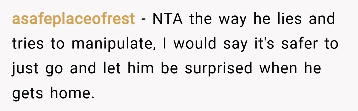 asafeplaceofrest − NTA the way he lies and tries to manipulate, I would say it's safer to just go and let him be surprised when he gets home.