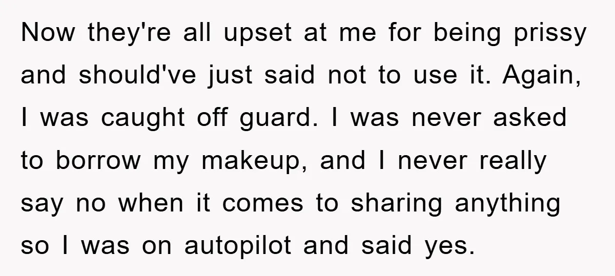 Now they're all upset at me for being prissy and should've just said not to use it. Again, I was caught off guard. I was never asked to borrow my...