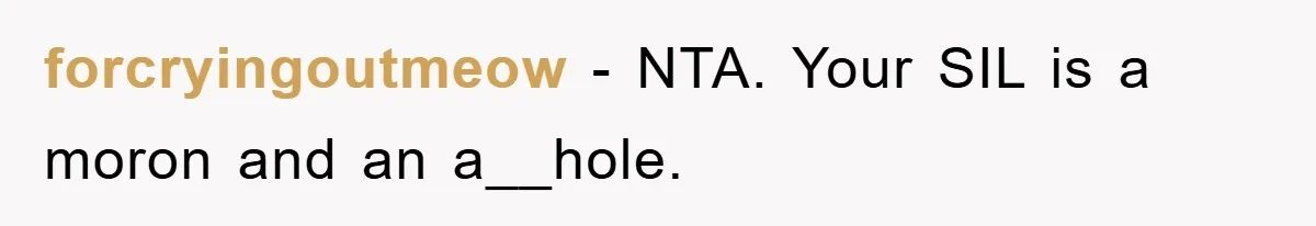 forcryingoutmeow − NTA. Your SIL is a moron and an a__hole.