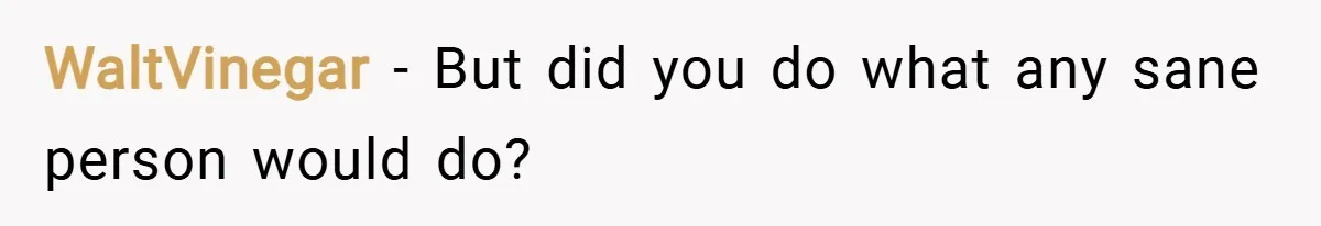 WaltVinegar − But did you do what any sane person would do?