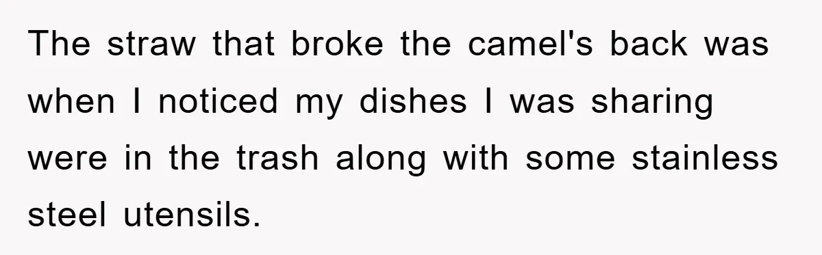 The straw that broke the camel's back was when I noticed my dishes I was sharing were in the trash along with some stainless steel utensils.