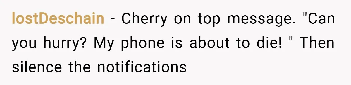 lostDeschain − Cherry on top message. "Can you hurry? My phone is about to die! " Then silence the notifications