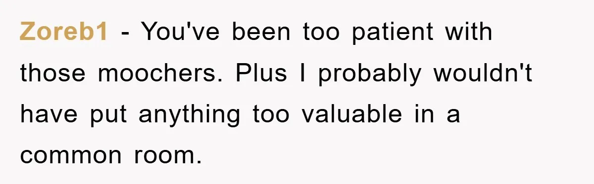 Zoreb1 − You've been too patient with those moochers. Plus I probably wouldn't have put anything too valuable in a common room.