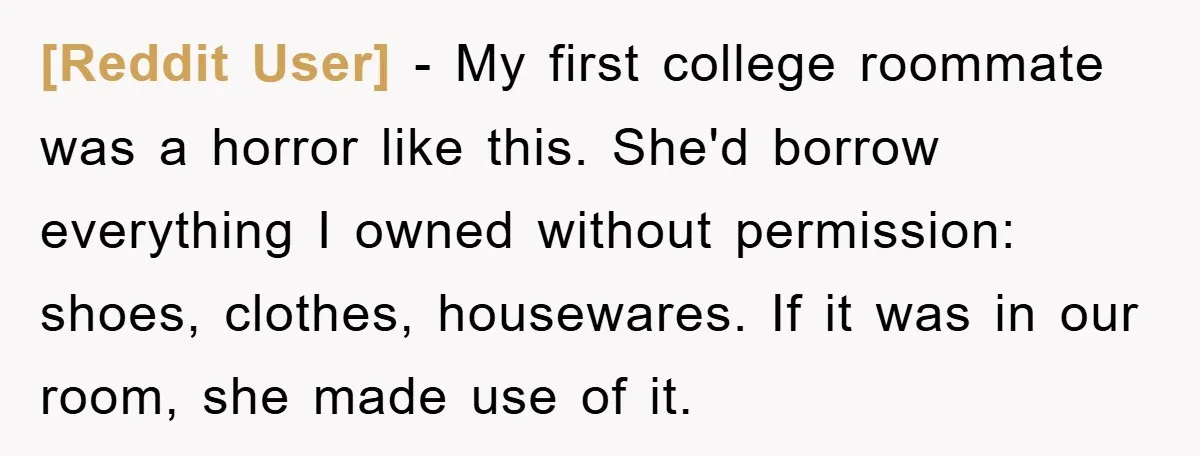 [Reddit User] − My first college roommate was a horror like this. She'd borrow everything I owned without permission: shoes, clothes, housewares. If it was in our room, she made...