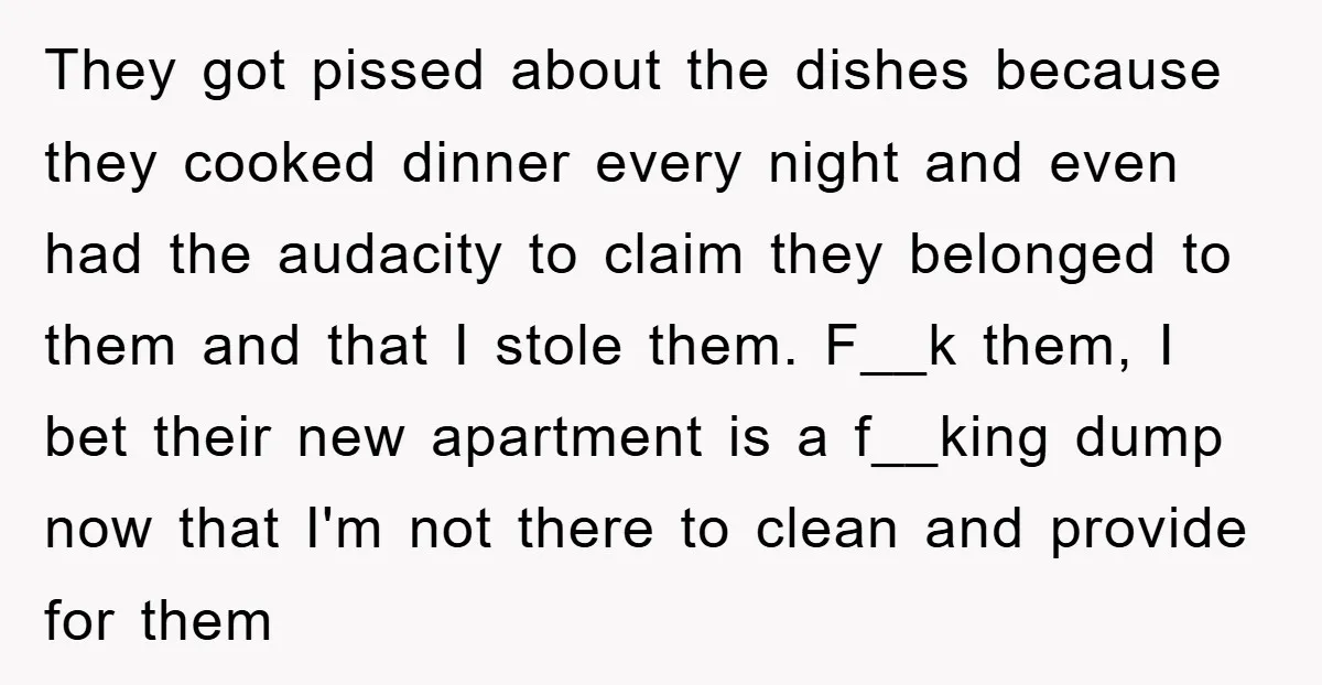 They got pissed about the dishes because they cooked dinner every night and even had the audacity to claim they belonged to them and that I stole them. F__k them,...