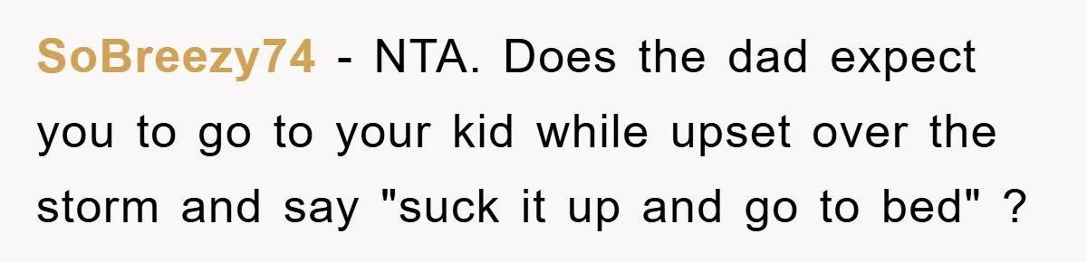 SoBreezy74 − NTA. Does the dad expect you to go to your kid while upset over the storm and say "suck it up and go to bed" ?