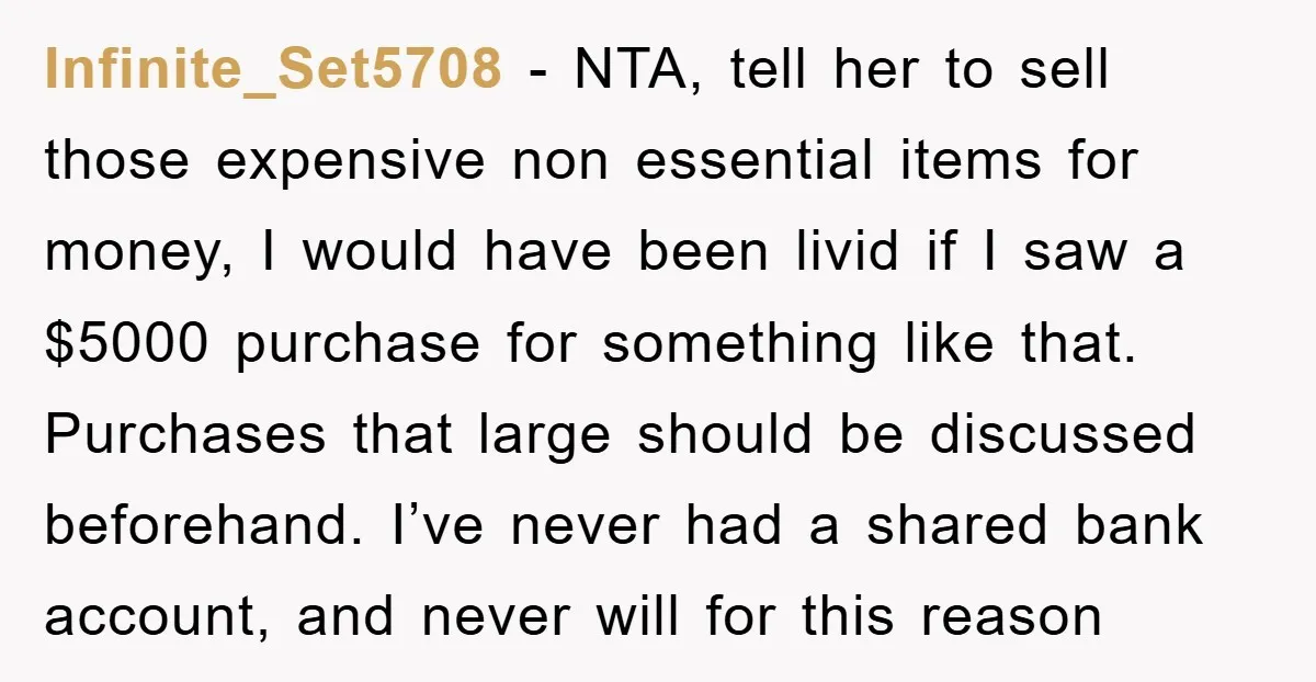 Infinite_Set5708 - NTA, tell her to sell those expensive non essential items for money, I would have been livid if I saw a $5000 purchase for something like that. Purchases...