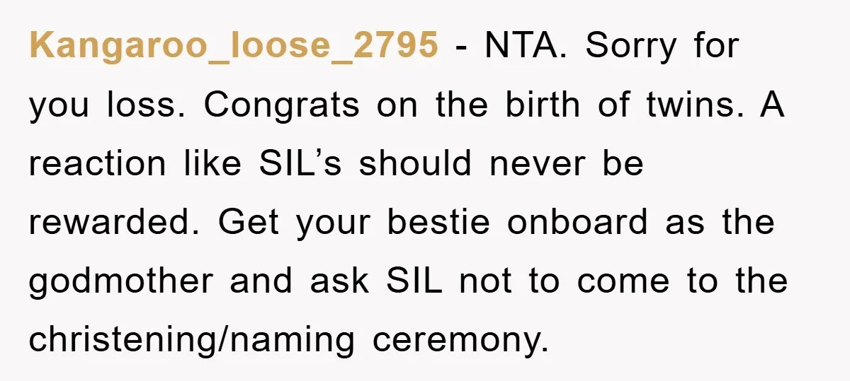Kangaroo_loose_2795 − NTA. Sorry for you loss. Congrats on the birth of twins. A reaction like SIL’s should never be rewarded. Get your bestie onboard as the godmother and ask...