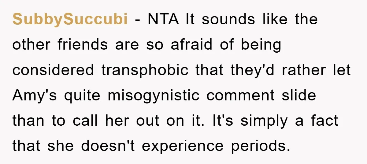 SubbySuccubi − NTA It sounds like the other friends are so afraid of being considered transphobic that they'd rather let Amy's quite misogynistic comment slide than to call her out...