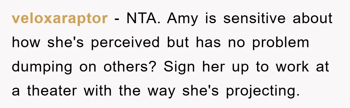 veloxaraptor − NTA. Amy is sensitive about how she's perceived but has no problem dumping on others? Sign her up to work at a theater with the way she's projecting.