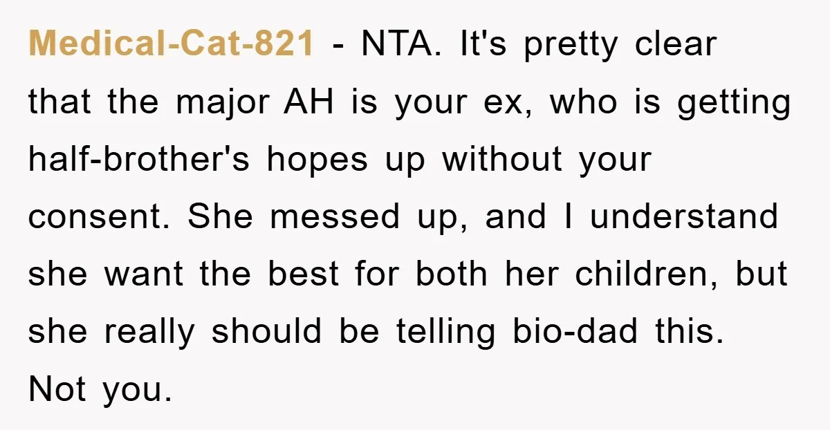 Medical-Cat-821 − NTA. It's pretty clear that the major AH is your ex, who is getting half-brother's hopes up without your consent. She messed up, and I understand she want...