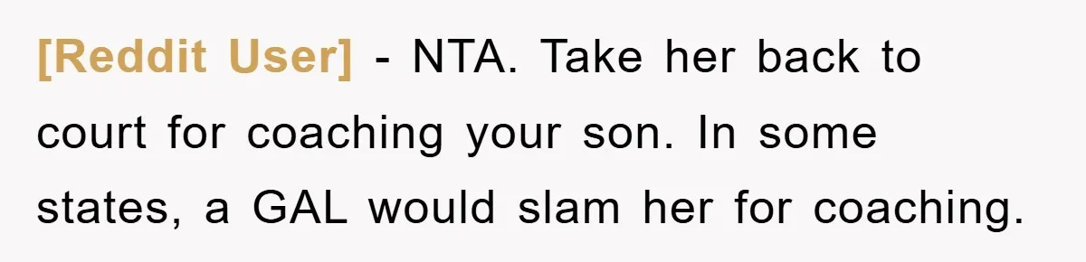 [Reddit User] − NTA. Take her back to court for coaching your son. In some states, a GAL would slam her for coaching.