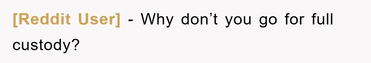 [Reddit User] − Why don’t you go for full custody?