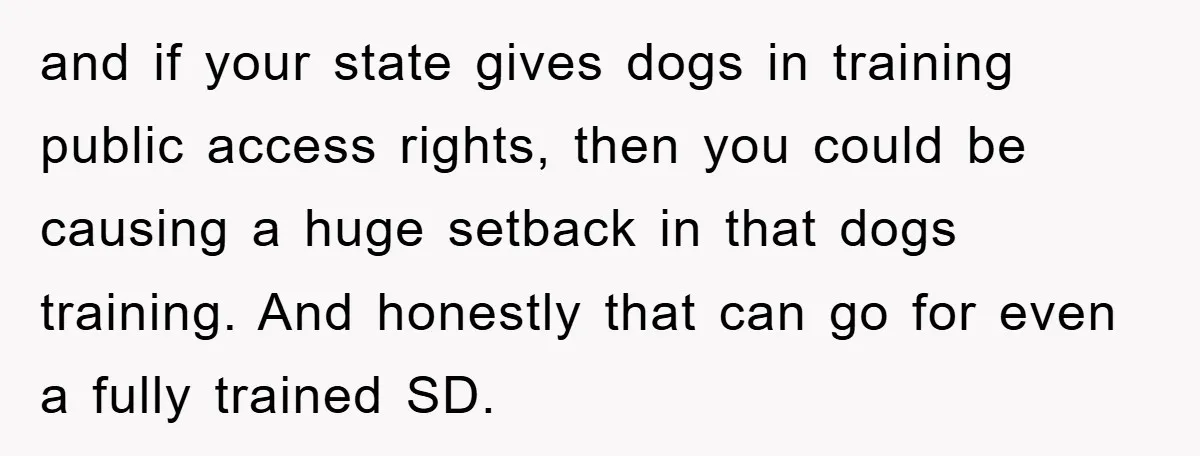 and if your state gives dogs in training public access rights, then you could be causing a huge setback in that dogs training. And honestly that can go for even...