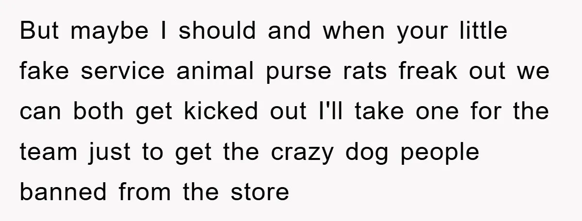 But maybe I should and when your little fake service animal purse rats freak out we can both get kicked out I'll take one for the team just to get...