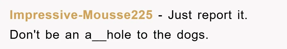 Impressive-Mousse225 - Just report it. Don't be an a__hole to the dogs.