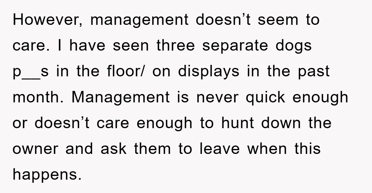 However, management doesn’t seem to care. I have seen three separate dogs p__s in the floor/ on displays in the past month. Management is never quick enough or doesn’t care...