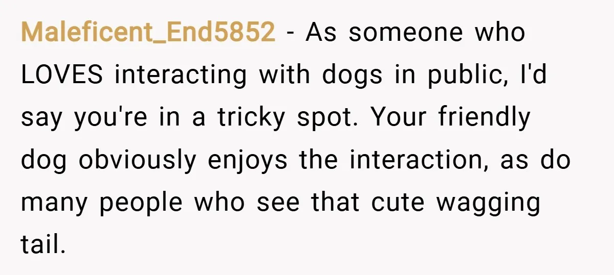 Maleficent_End5852 − As someone who LOVES interacting with dogs in public, I'd say you're in a tricky spot. Your friendly dog obviously enjoys the interaction, as do many people who...