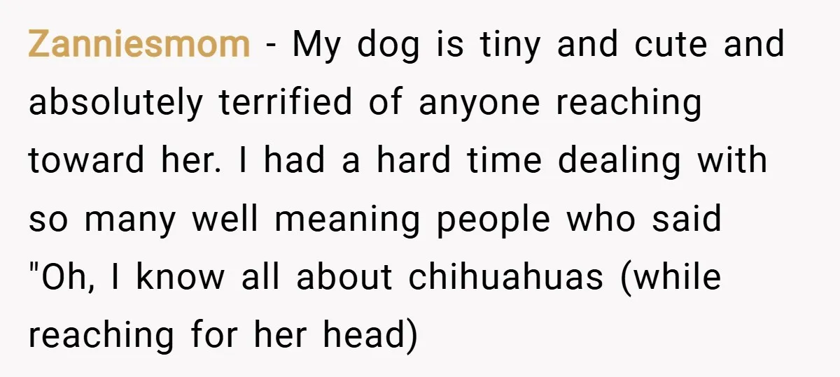 Zanniesmom − My dog is tiny and cute and absolutely terrified of anyone reaching toward her. I had a hard time dealing with so many well meaning people who said...