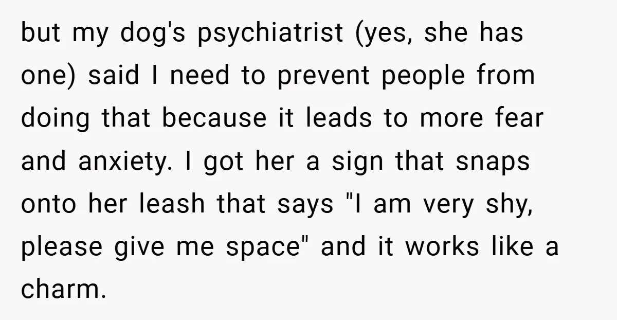 but my dog's psychiatrist (yes, she has one) said I need to prevent people from doing that because it leads to more fear and anxiety. I got her a sign...