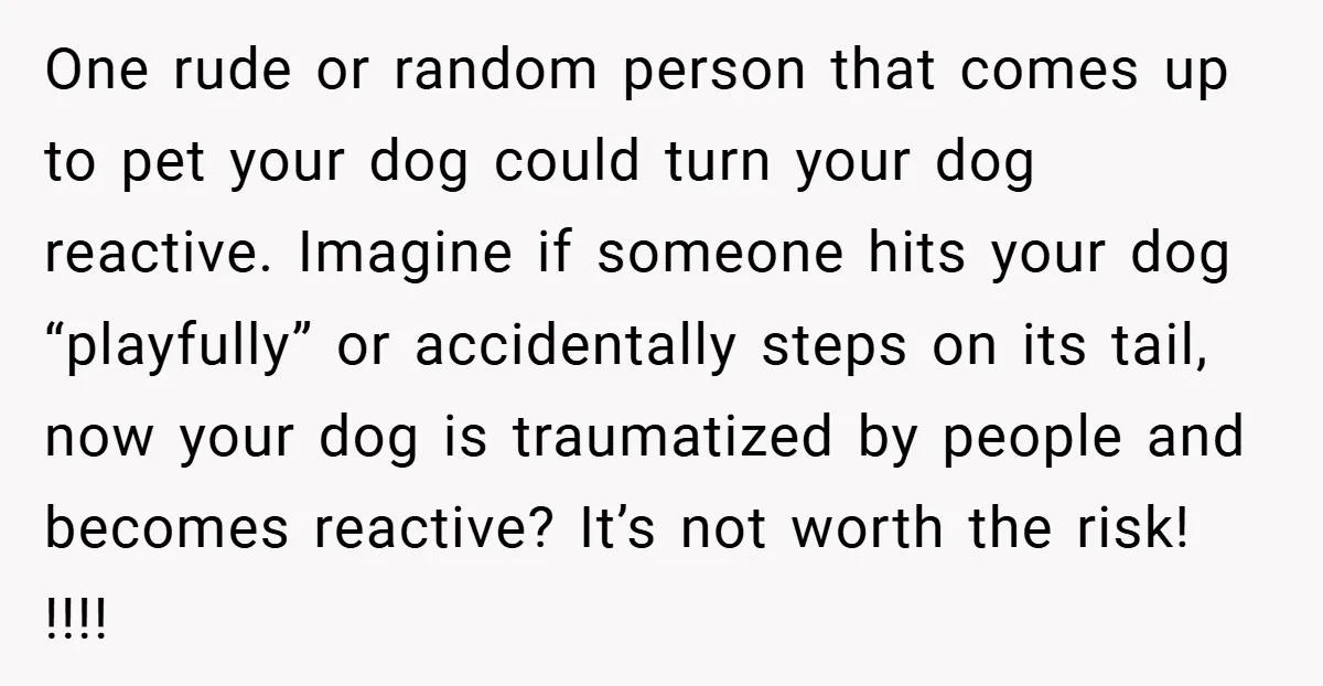 One rude or random person that comes up to pet your dog could turn your dog reactive. Imagine if someone hits your dog “playfully” or accidentally steps on its tail,...