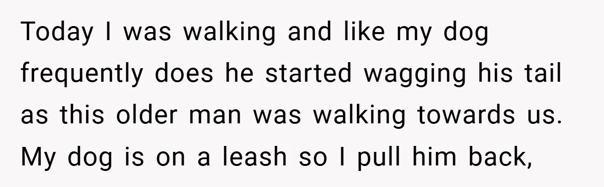 Today I was walking and like my dog frequently does he started wagging his tail as this older man was walking towards us. My dog is on a leash so...