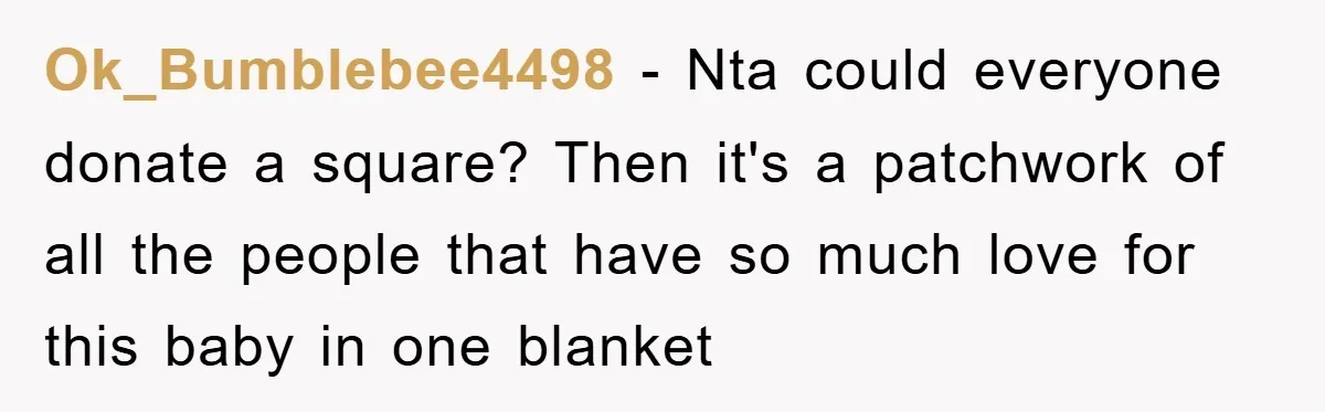 Ok_Bumblebee4498 − Nta could everyone donate a square? Then it's a patchwork of all the people that have so much love for this baby in one blanket