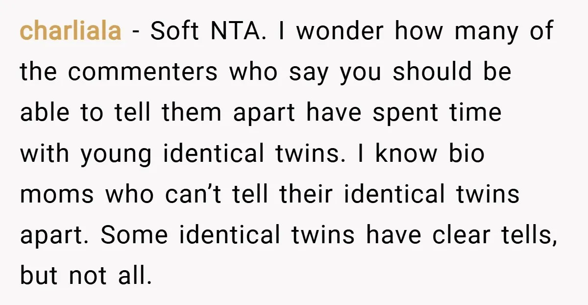 charliala − Soft NTA. I wonder how many of the commenters who say you should be able to tell them apart have spent time with young identical twins. I know...