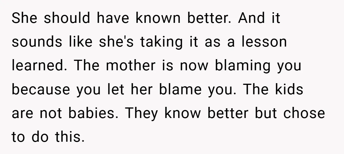 She should have known better. And it sounds like she's taking it as a lesson learned. The mother is now blaming you because you let her blame you. The kids...