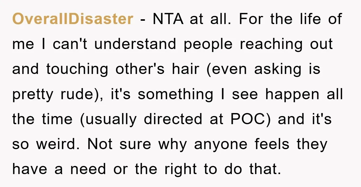 OverallDisaster - NTA at all. For the life of me I can't understand people reaching out and touching other's hair (even asking is pretty rude), it's something I see happen...