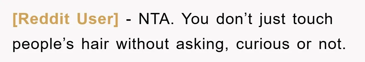 [Reddit User] - NTA. You don’t just touch people’s hair without asking, curious or not.