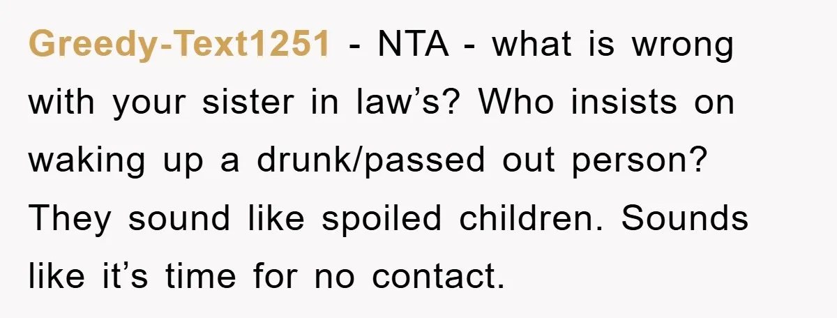 Greedy-Text1251 − NTA - what is wrong with your sister in law’s? Who insists on waking up a drunk/passed out person? They sound like spoiled children. Sounds like it’s time...