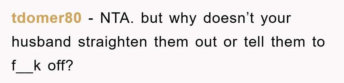 tdomer80 − NTA. but why doesn’t your husband straighten them out or tell them to f__k off?