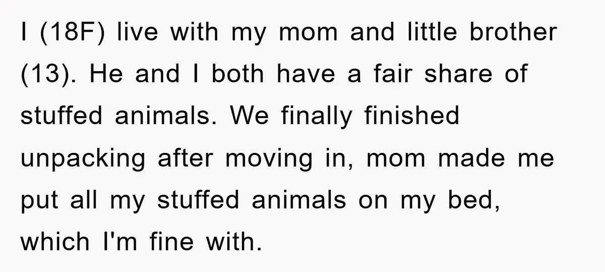 I (18F) live with my mom and little brother (13). He and I both have a fair share of stuffed animals. We finally finished unpacking after moving in, mom made...