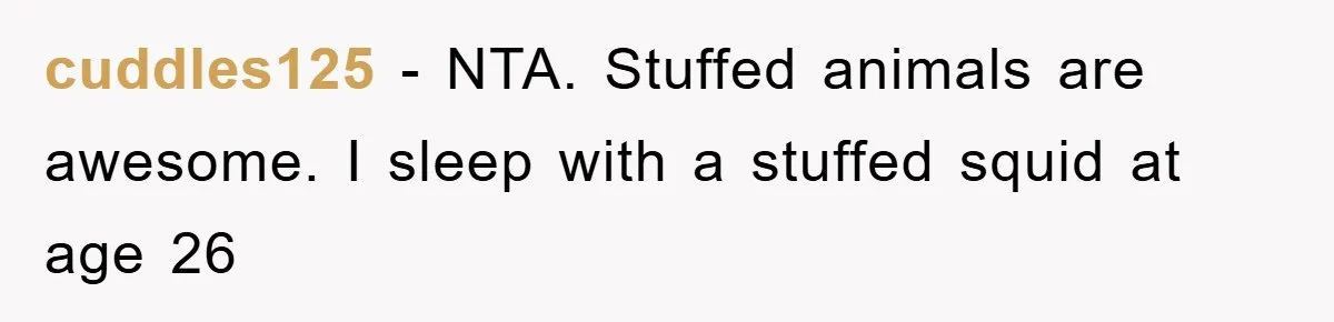 cuddles125 − NTA. Stuffed animals are awesome. I sleep with a stuffed squid at age 26