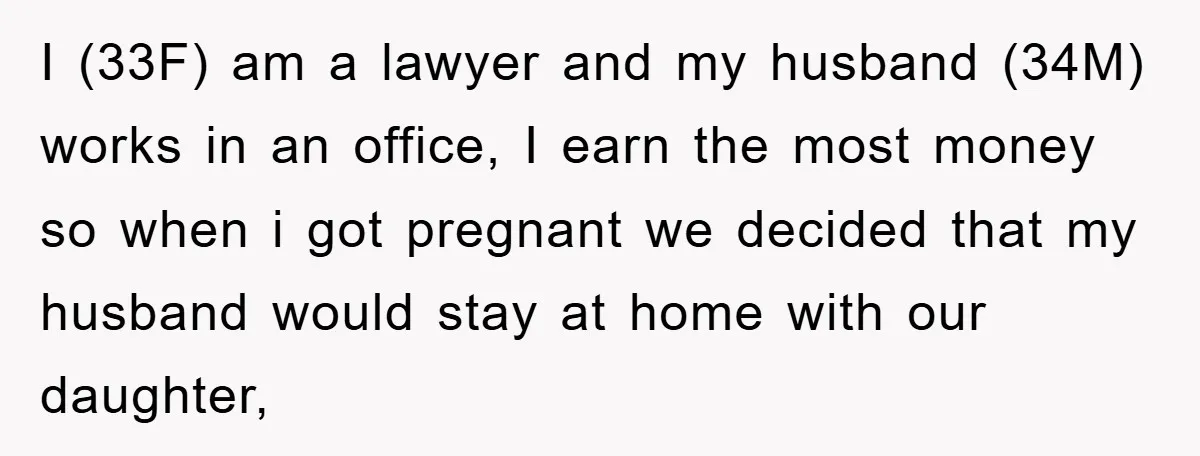 I (33F) am a lawyer and my husband (34M) works in an office, I earn the most money so when i got pregnant we decided that my husband would stay...