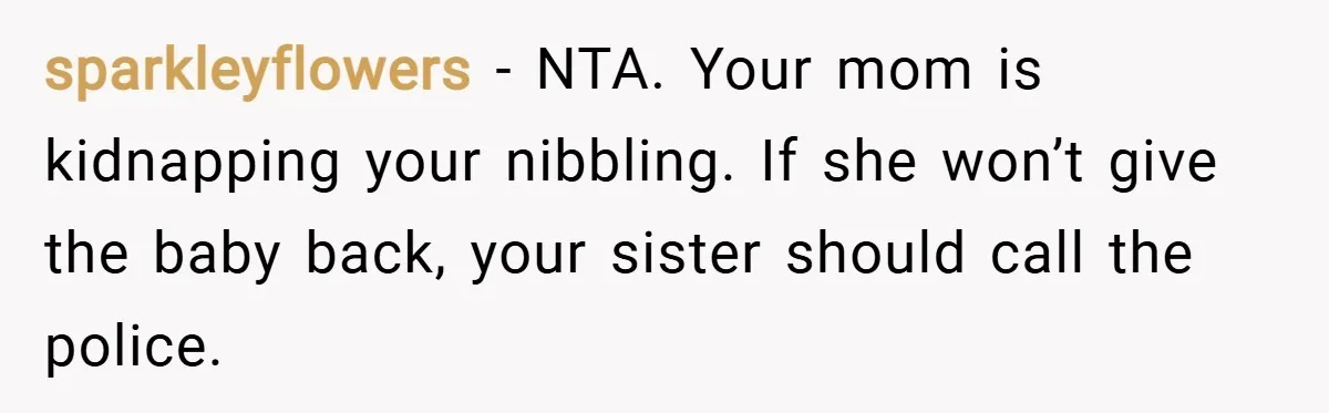 sparkleyflowers − NTA. Your mom is kidnapping your nibbling. If she won’t give the baby back, your sister should call the police.