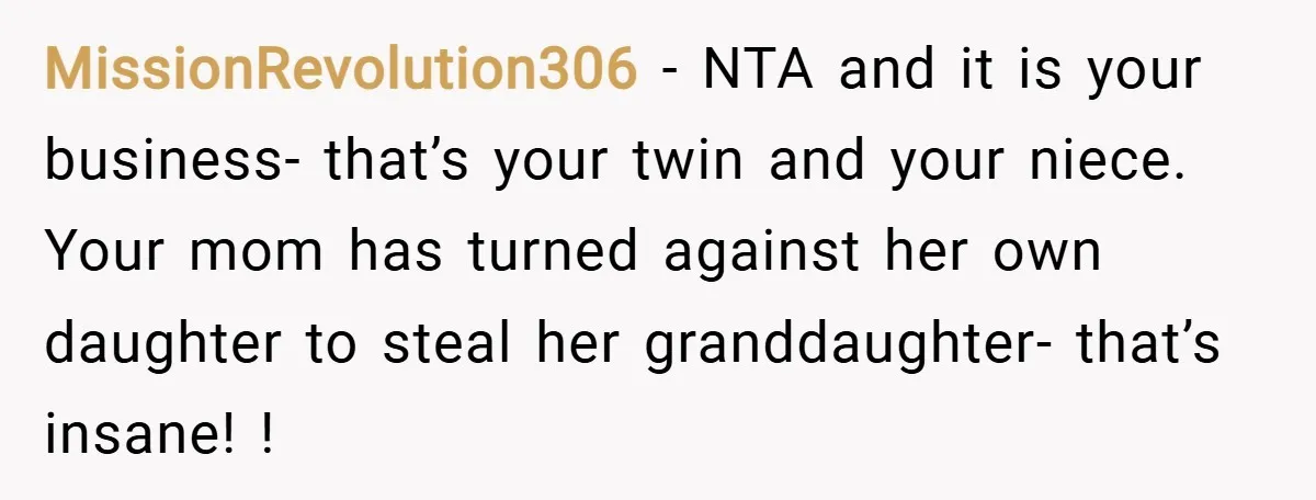 MissionRevolution306 − NTA and it is your business- that’s your twin and your niece. Your mom has turned against her own daughter to steal her granddaughter- that’s insane! !