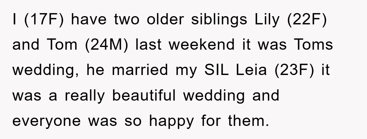I (17F) have two older siblings Lily (22F) and Tom (24M) last weekend it was Toms wedding, he married my SIL Leia (23F) it was a really beautiful wedding and...