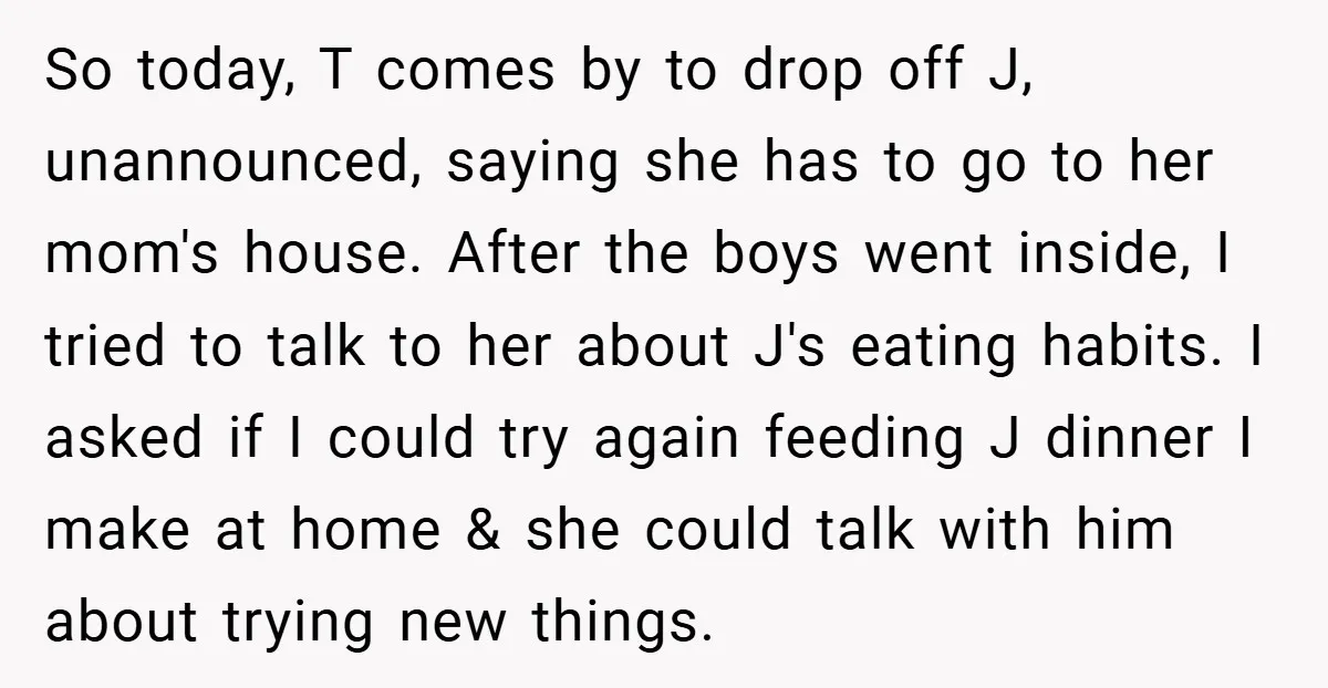 So today, T comes by to drop off J, unannounced, saying she has to go to her mom's house. After the boys went inside, I tried to talk to her...