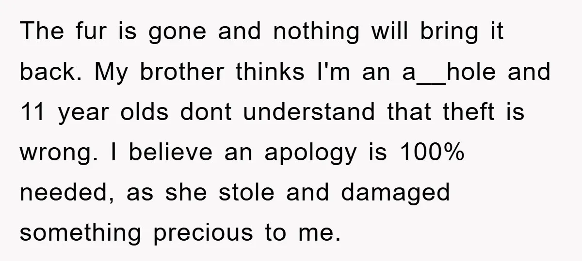 The fur is gone and nothing will bring it back. My brother thinks I'm an a__hole and 11 year olds dont understand that theft is wrong. I believe an apology...