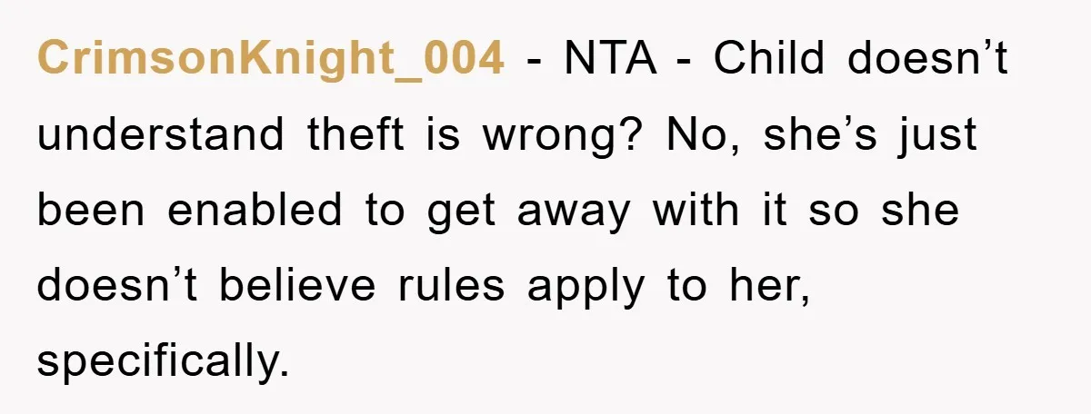 CrimsonKnight_004 − NTA - Child doesn’t understand theft is wrong? No, she’s just been enabled to get away with it so she doesn’t believe rules apply to her, specifically.
