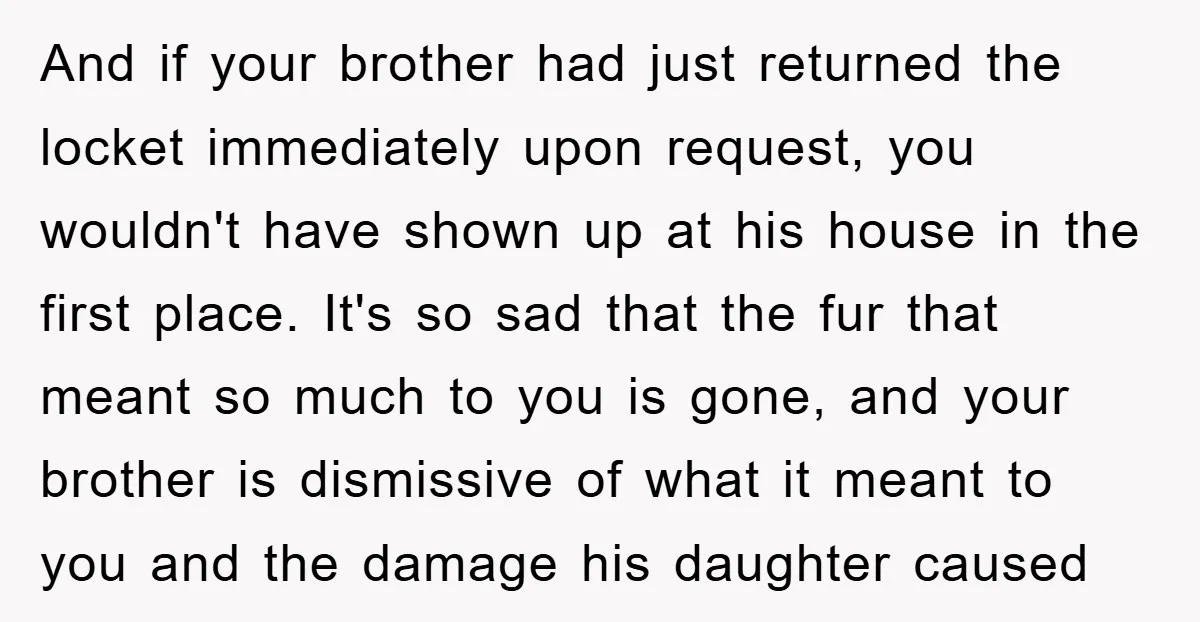 And if your brother had just returned the locket immediately upon request, you wouldn't have shown up at his house in the first place. It's so sad that the fur...
