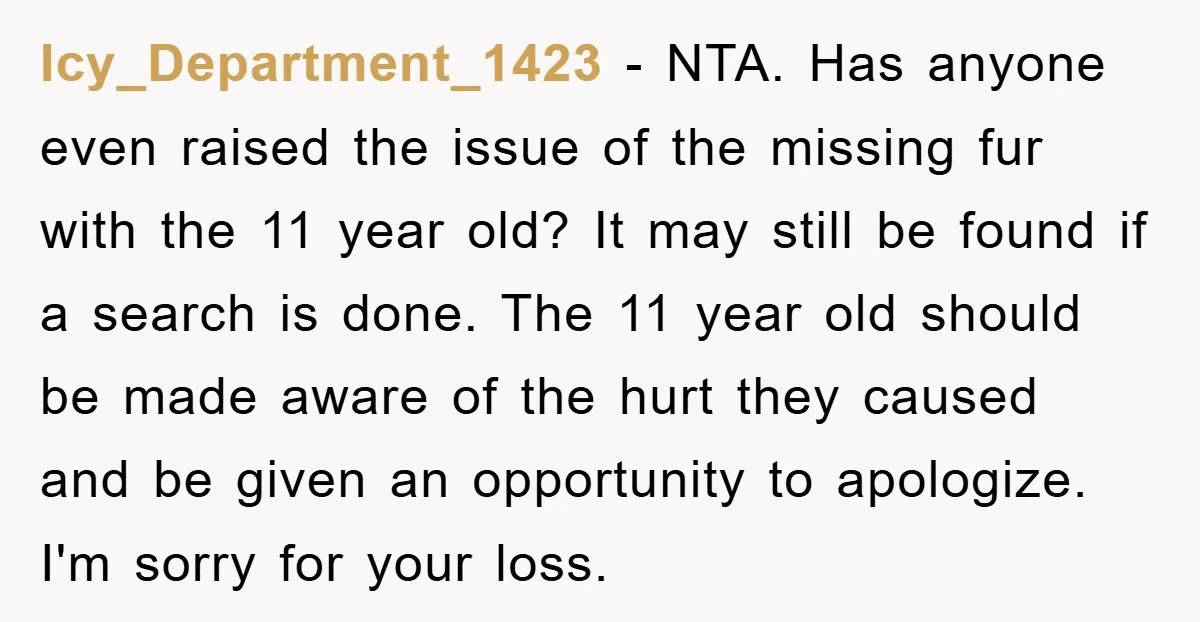 Icy_Department_1423 − NTA. Has anyone even raised the issue of the missing fur with the 11 year old? It may still be found if a search is done. The 11...