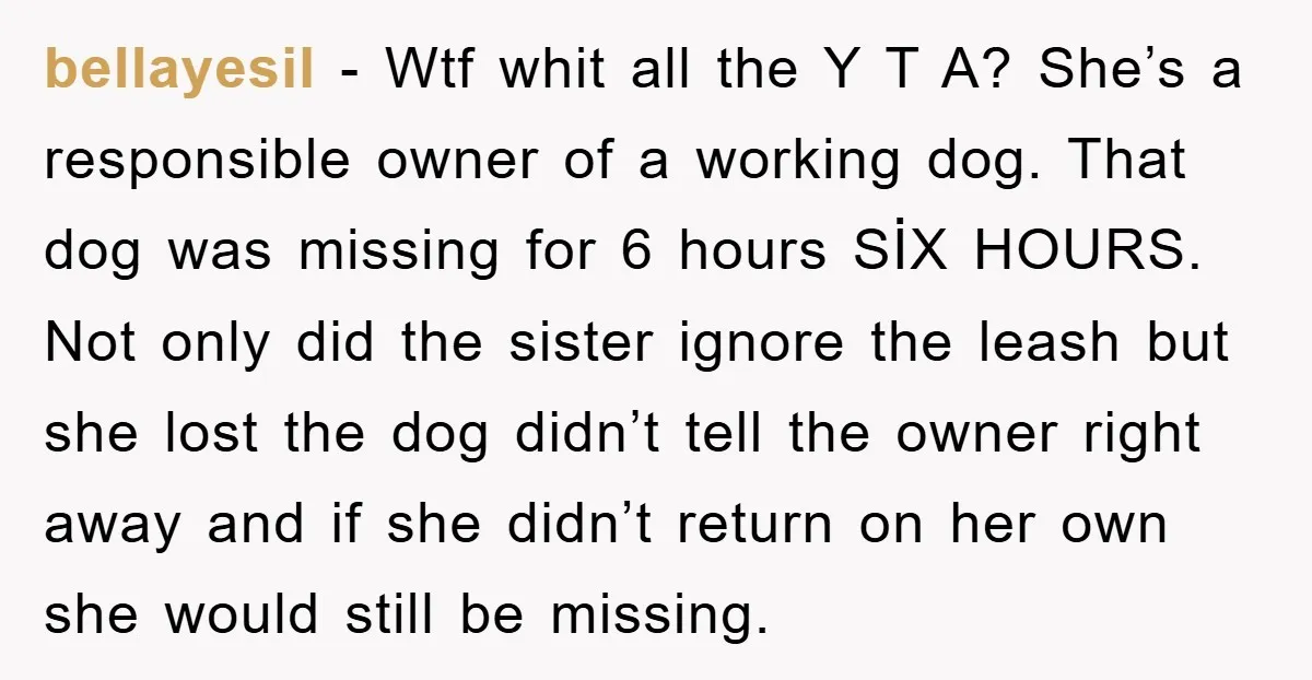 bellayesil - Wtf whit all the Y T A? She’s a responsible owner of a working dog. That dog was missing for 6 hours SİX HOURS. Not only did the...