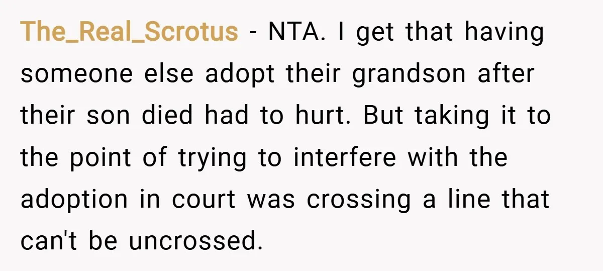 The_Real_Scrotus − NTA. I get that having someone else adopt their grandson after their son died had to hurt. But taking it to the point of trying to interfere with...