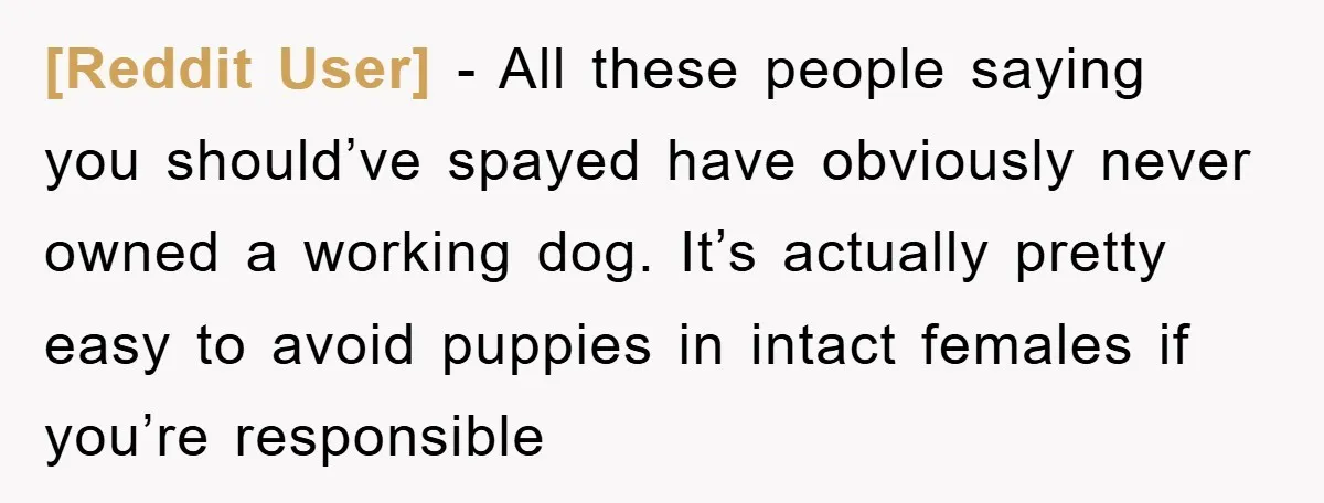 [Reddit User] - All these people saying you should’ve spayed have obviously never owned a working dog. It’s actually pretty easy to avoid puppies in intact females if you’re responsible
