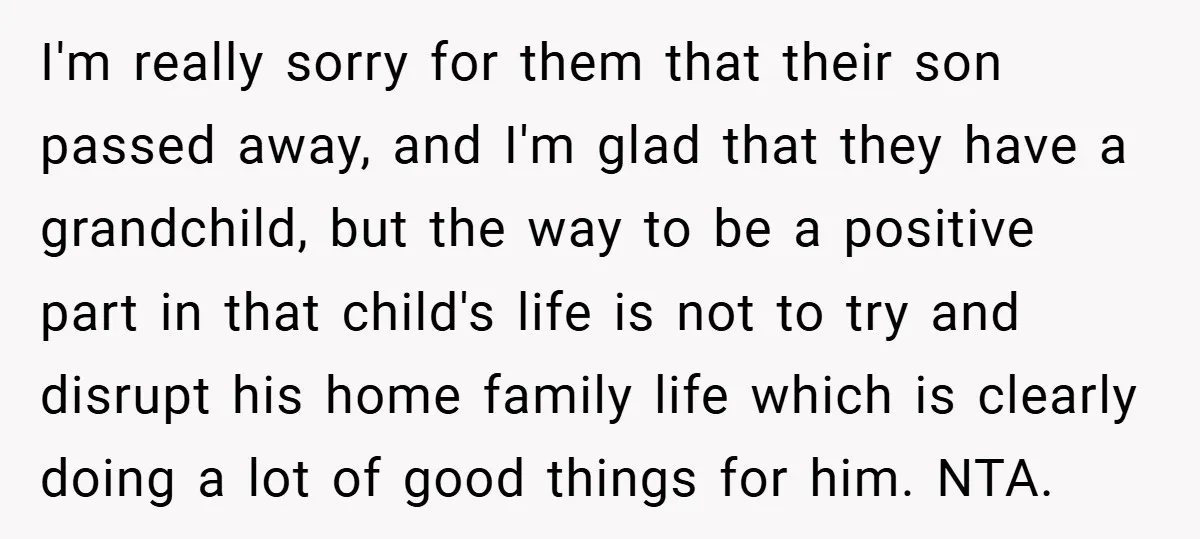 I'm really sorry for them that their son passed away, and I'm glad that they have a grandchild, but the way to be a positive part in that child's life...