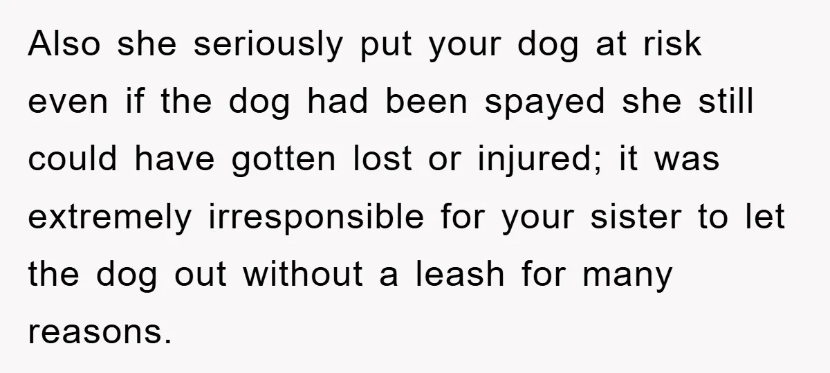 Also she seriously put your dog at risk even if the dog had been spayed she still could have gotten lost or injured; it was extremely irresponsible for your sister...